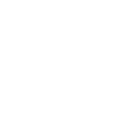 our-database-process